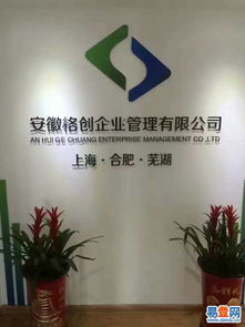 马鞍山易登网 免费注册公司，代理记账签一年送半年，助力企业成长