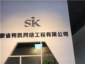 临泉商务服务全方位解析 一站式商务解决方案指南